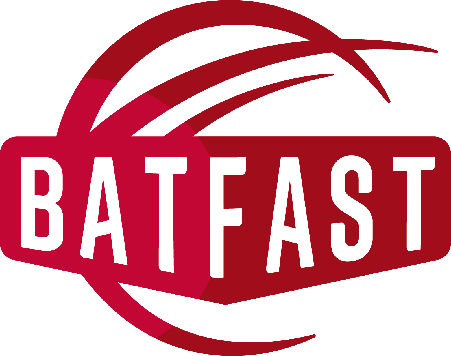 BatFast Cricket Simulators